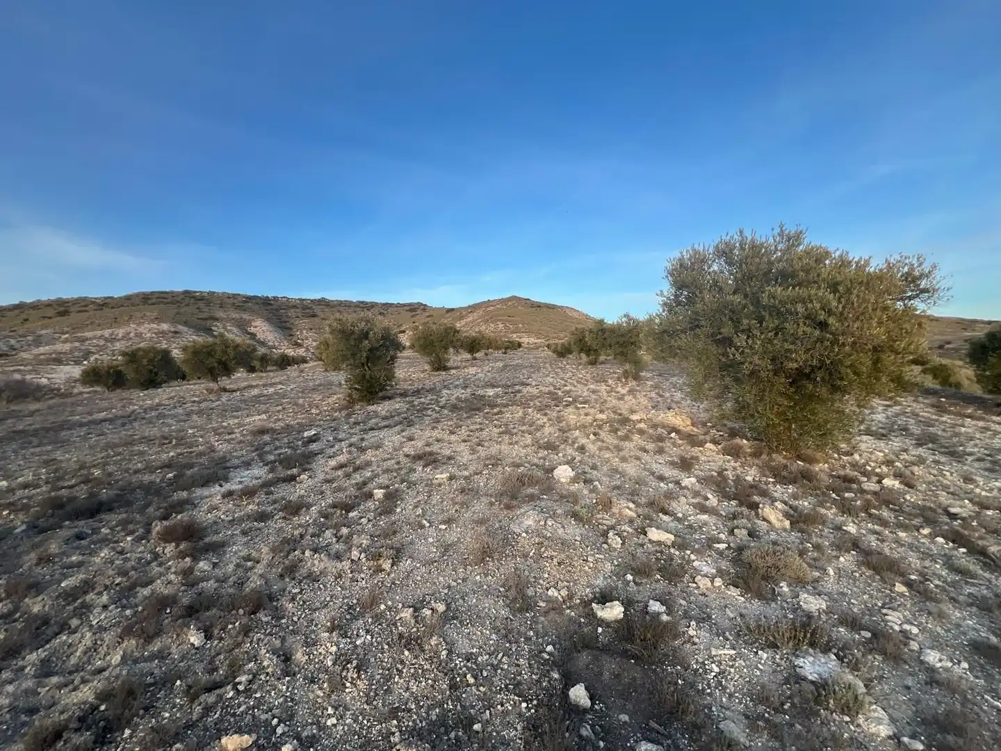 Rural land for sale in Polígono, imagen 6