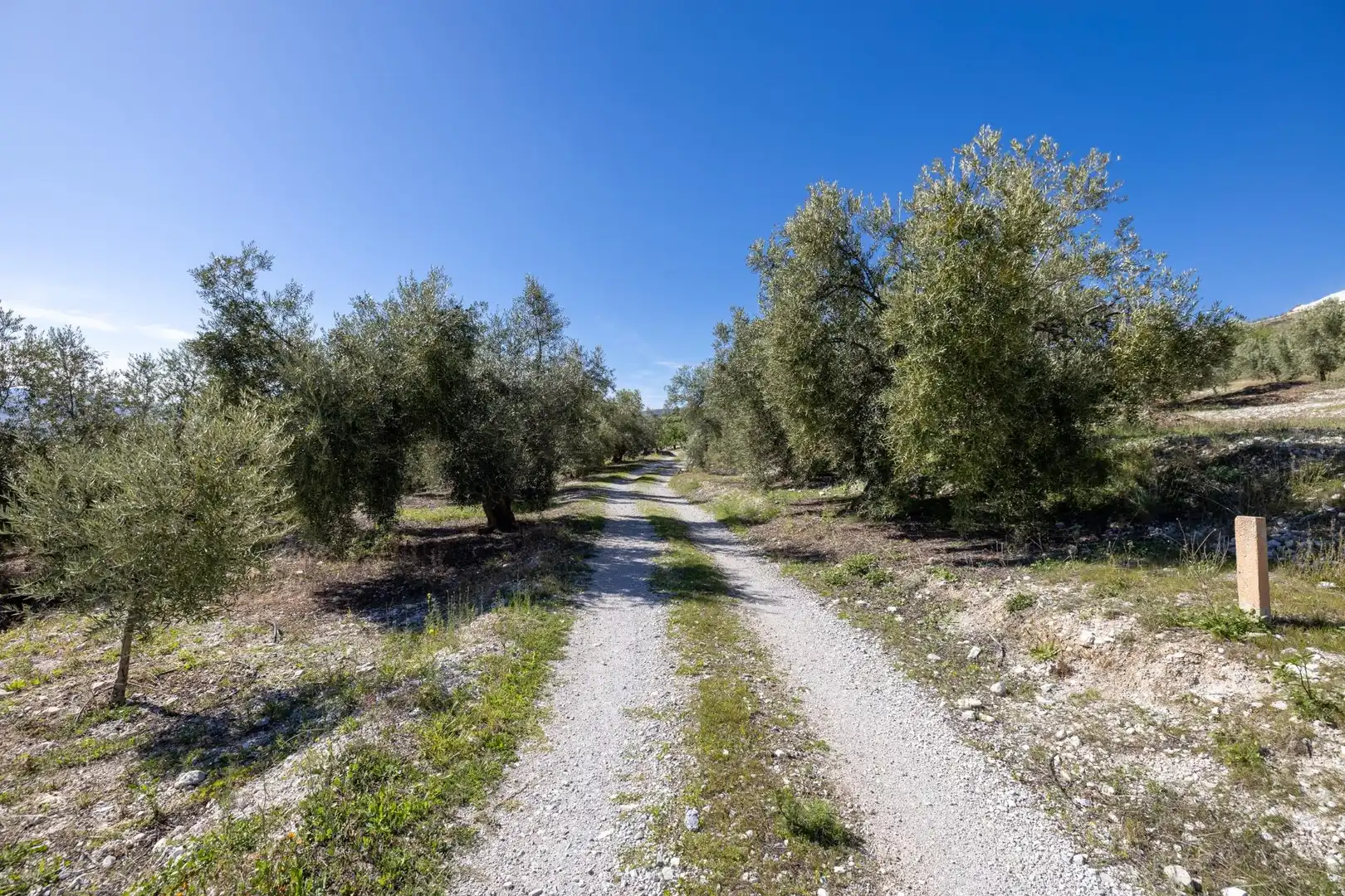 Terreni e lotti in vendita a Dúrcal, imagen 2