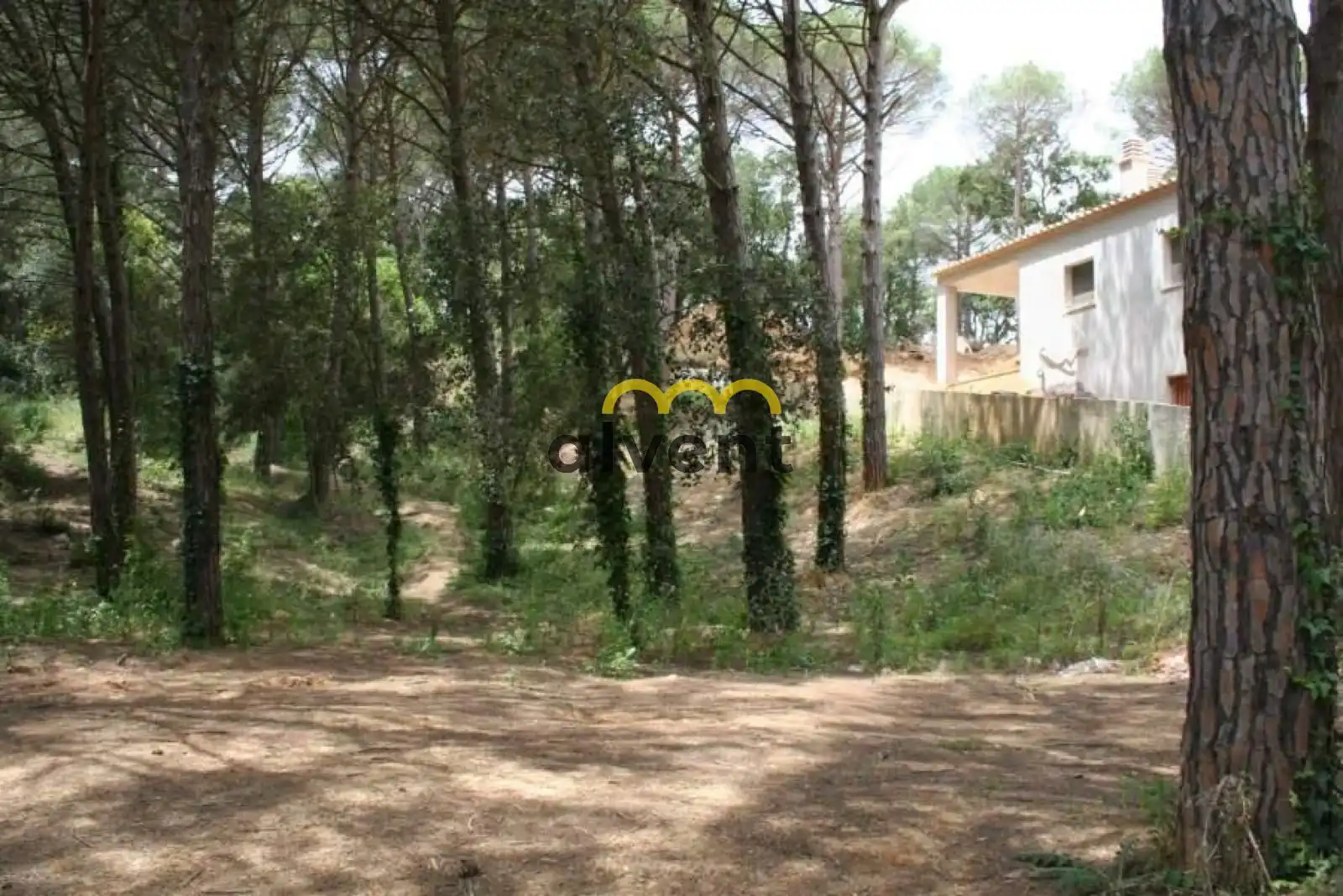 Rural land for sale in Manxa, imagen 13