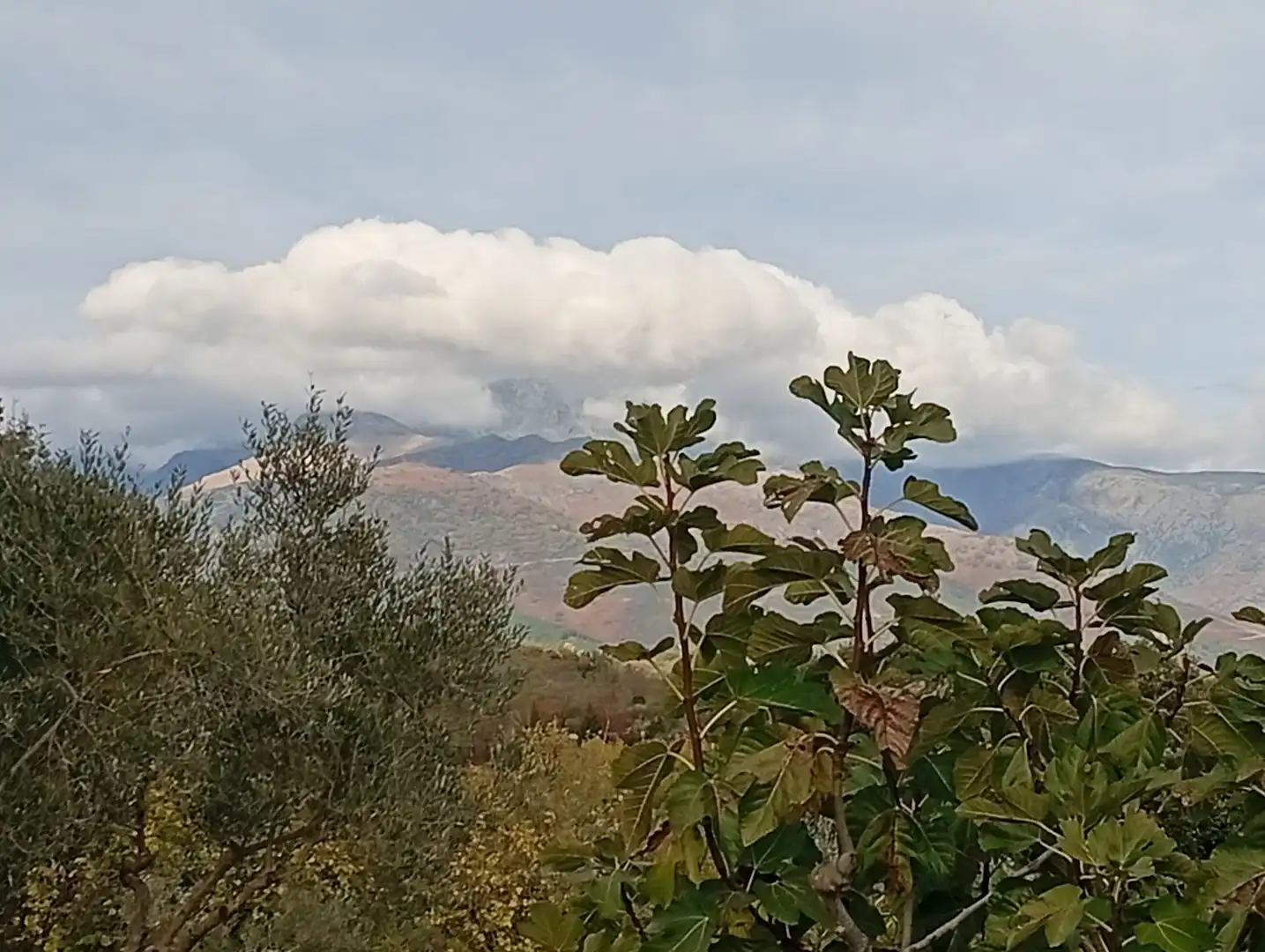Terreni e lotti in vendita a Villanueva de la Vera, imagen 68