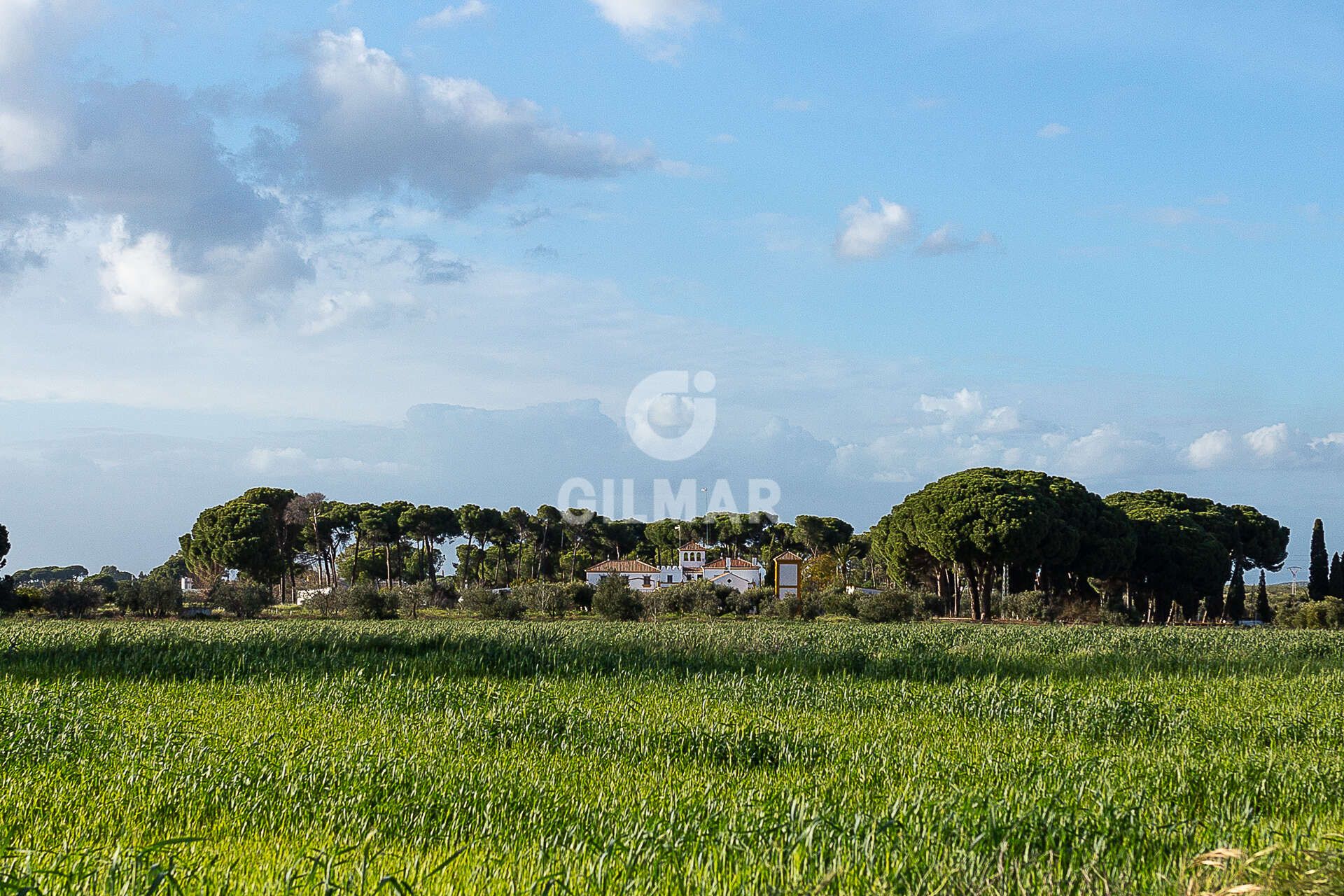 Houses for sale in Marchena  with Heating, Private garden and Swimming Pool