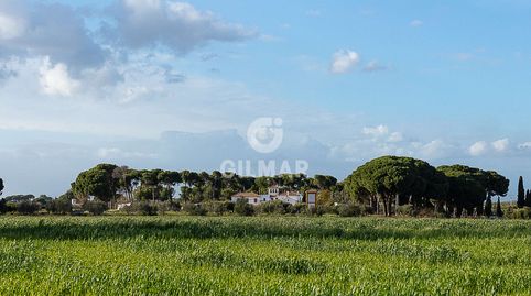 Se presenta una espectacular hacienda típica sevillana ubicada en la histórica localidad de Marchena, en la bella Campiña de Sevil