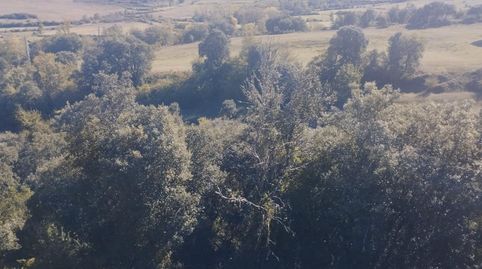 TERRENO URBANIZABLE DE CASI 6 HECTAREAS, immagine 5