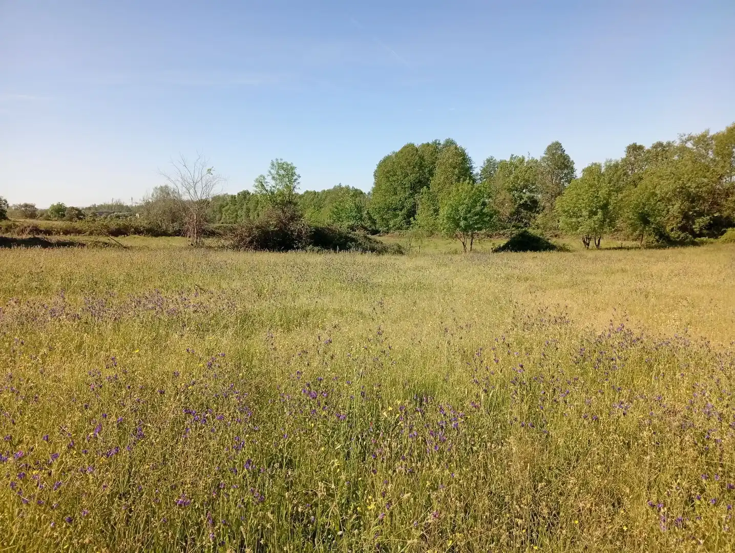 Terreni e lotti in vendita a Talaveruela de la Vera, imagen 72