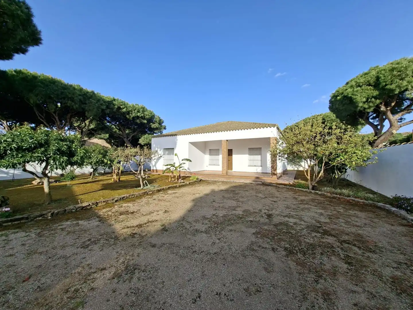 Vista exterior de Casa o xalet en venda en Chiclana de la Frontera amb Jardí privat