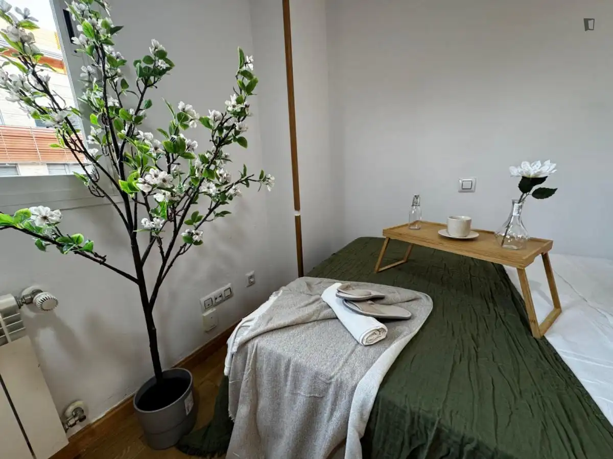 Room in Madrid, Madrid