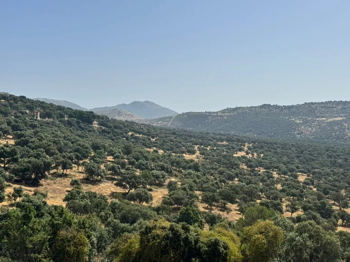Casa o chalet en venta en Robledo de Chavela con Calefacción, Jardín privado y Terraza