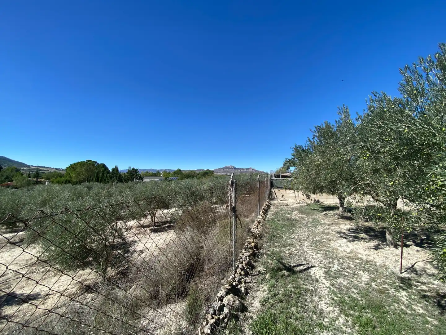 Country house with pool for sale in Sax, imagen 14