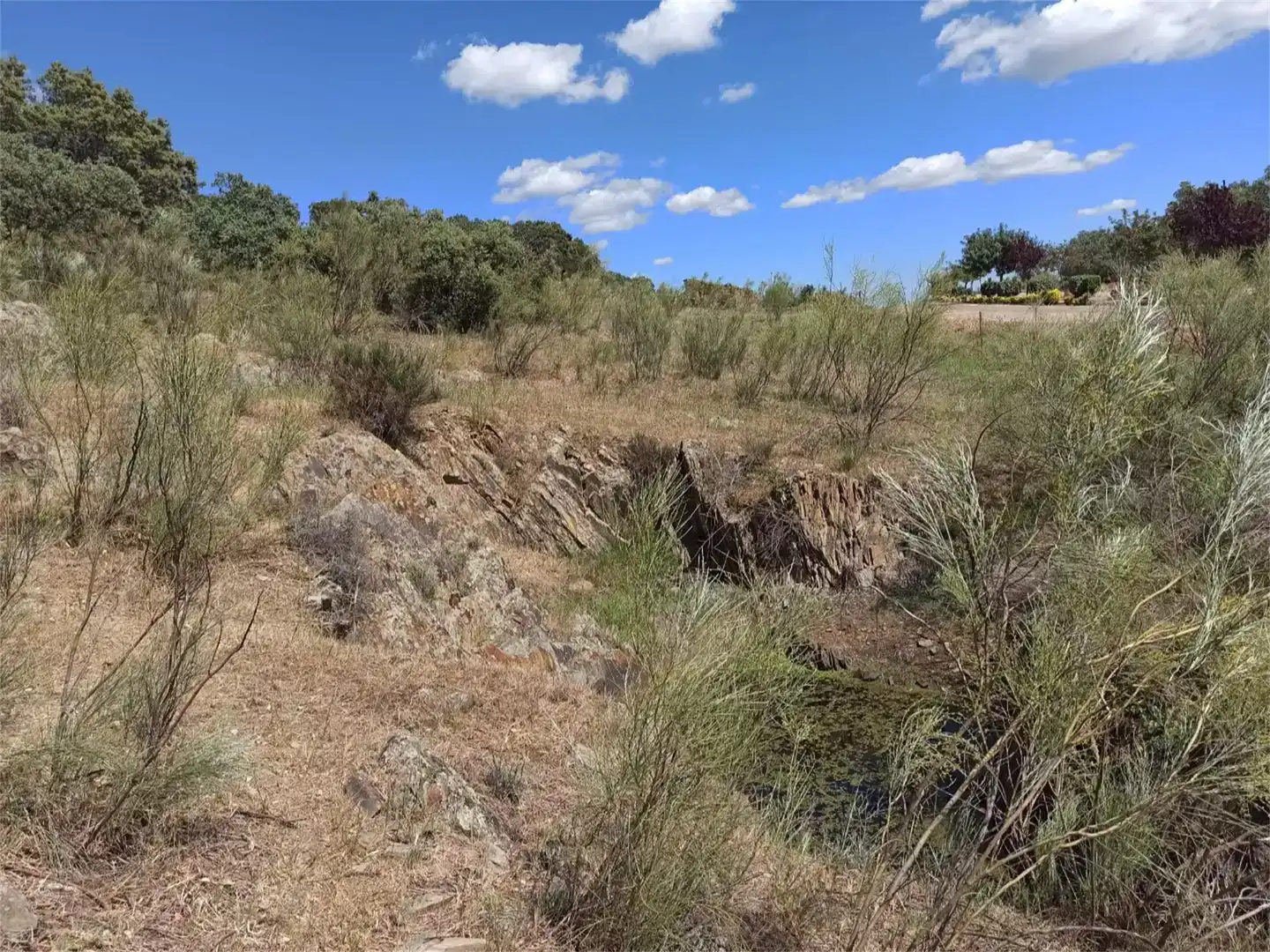 Land for sale in Jaraicejo, Cáceres