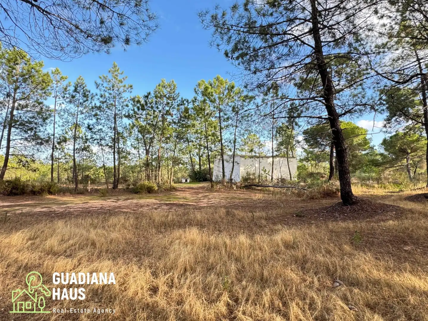Finca rústica en venda en Villablanca amb Jardí privat i Traster