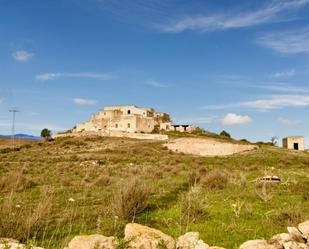 Exterior view of Country house for sale in Níjar