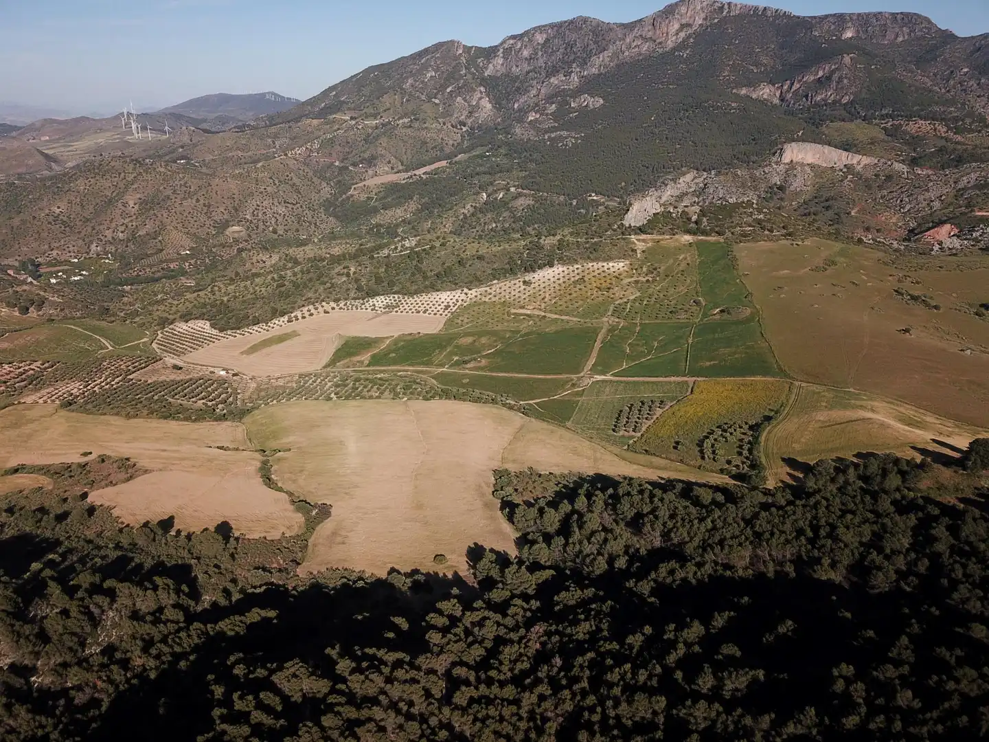 Terreno residenziale in vendita a Ardales, imagen 36