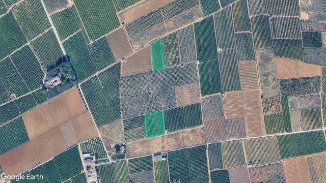 Terreno en Venta en Partida del Gonet o Cardona en La Loma