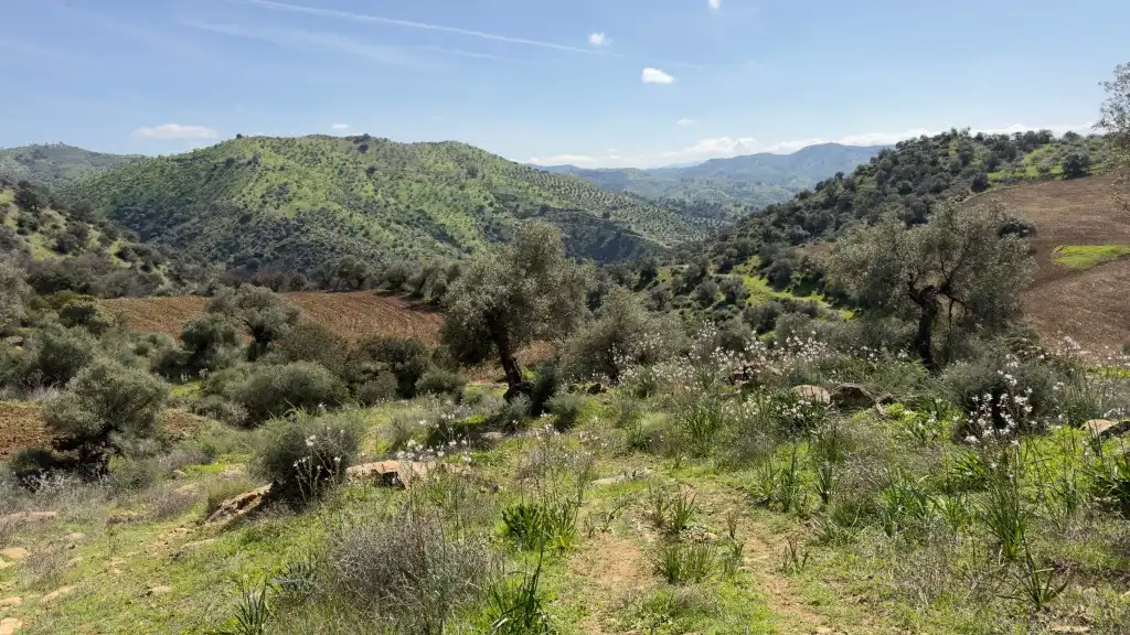 Casa rústica en venta en Álora, imagen 16