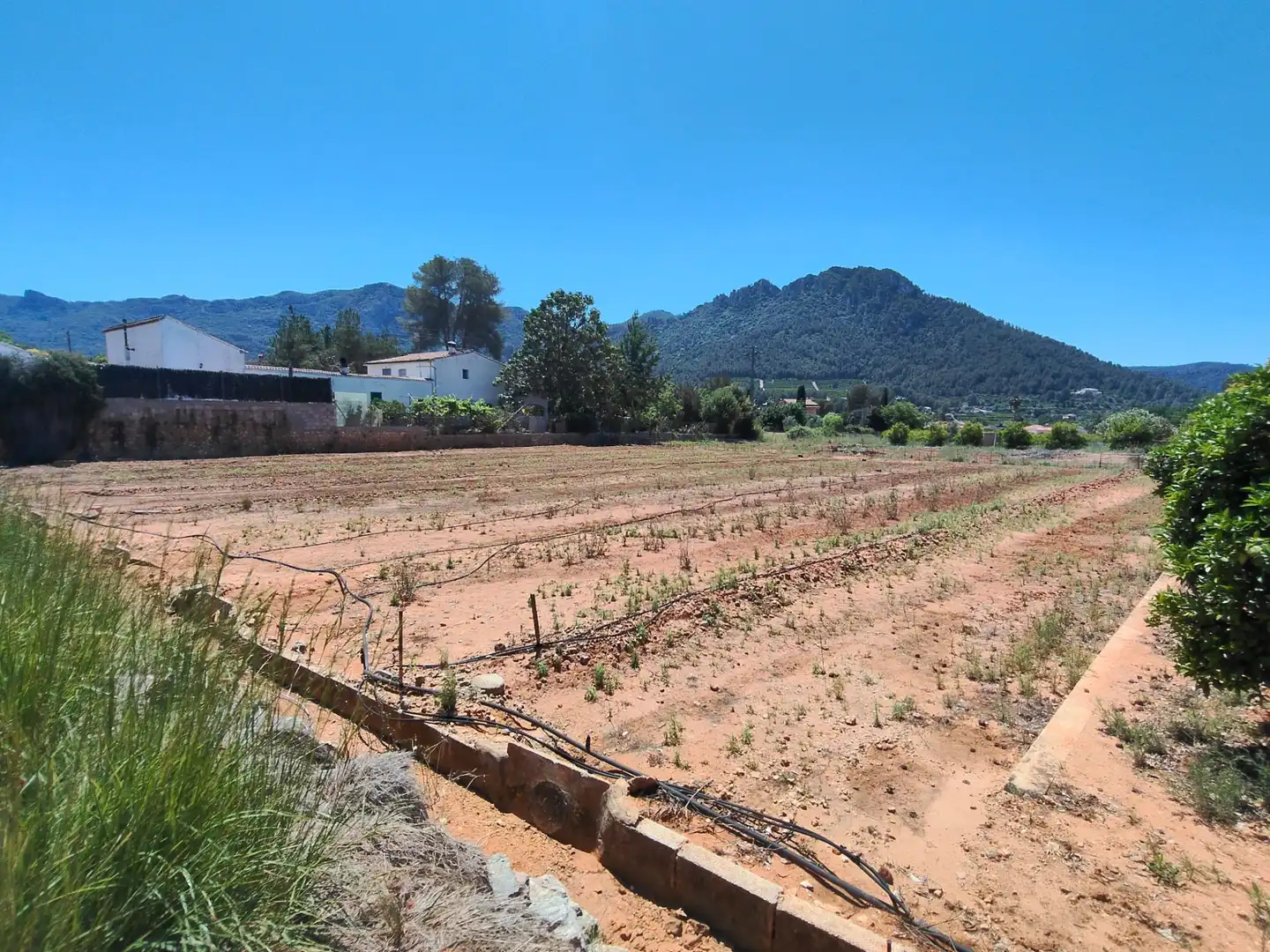 Finca rústica en venda en Simat de la Valldigna amb Jardí privat, Traster i Piscina