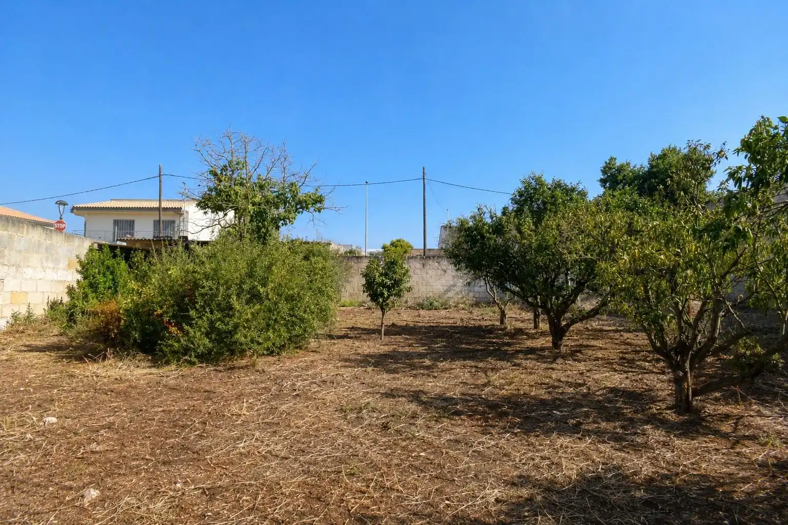 Terreni e lotti in vendita a Muro