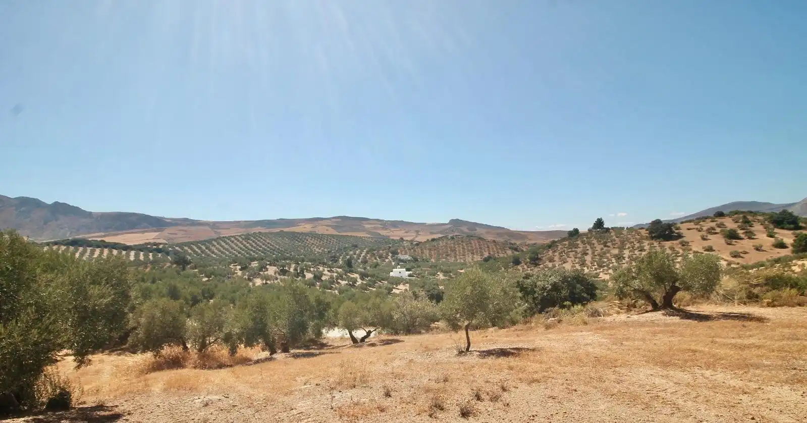 Casa rústica en venda a Bobadilla - Bobadilla Estación - La Joya, imagen 21