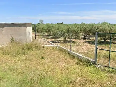 Land for sale in Cabanes