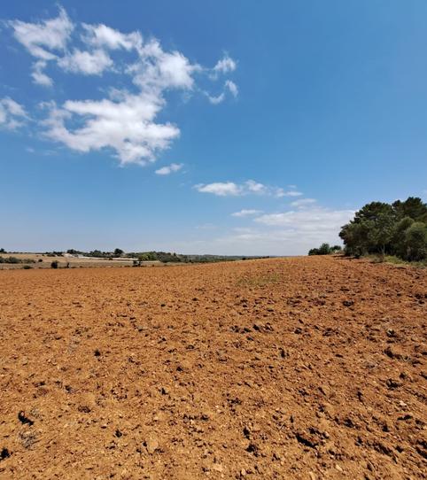 Foto 2 de Residencial en venda a Santa Eugènia, Illes Balears
