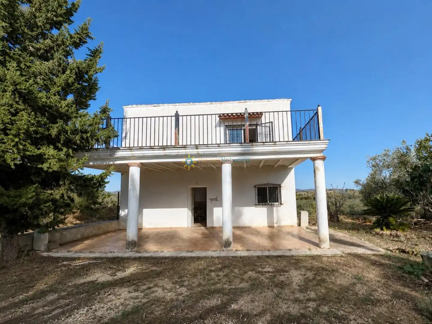 Vista exterior de Finca rústica en venda en El Palomar amb Jardí privat, Terrassa i Traster
