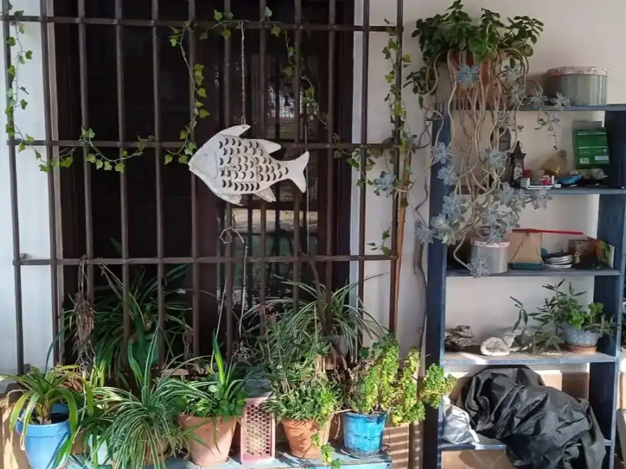 Terrassa de Finca rústica en venda en Lepe