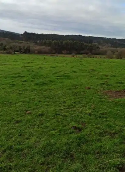 Terreni e lotti in vendita a Karrantza Harana/Valle de Carranza, imagen 2