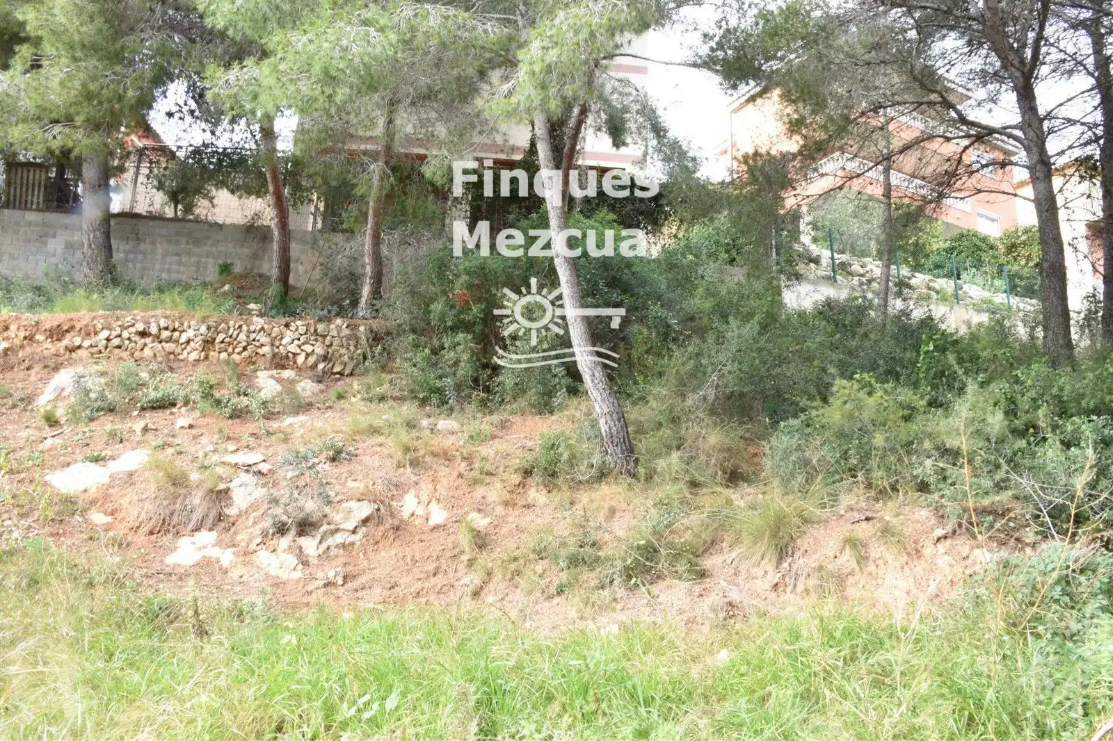 Rural land for sale in GLADIOL, imagen 8