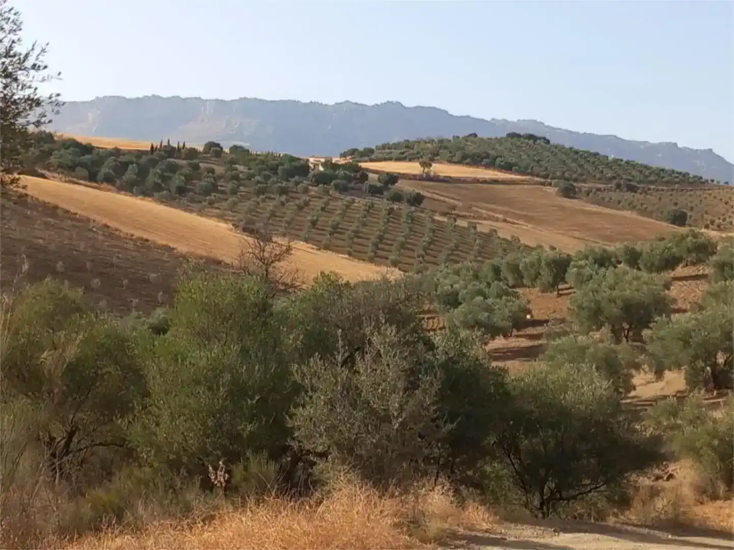 Pis en venda en Almogía, Málaga