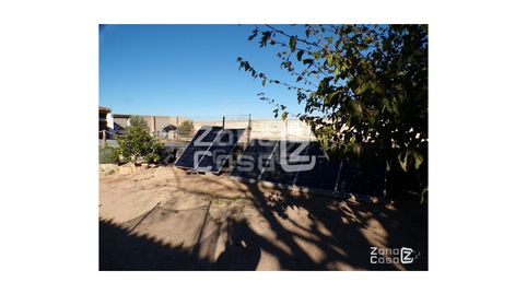 Foto 4 de Casa o chalet en venta en Partida Cotes Polig 22, Algemesí, Valencia
