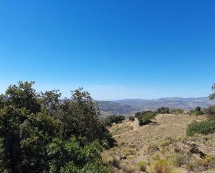 Finca rústica en venda en Pinos Genil