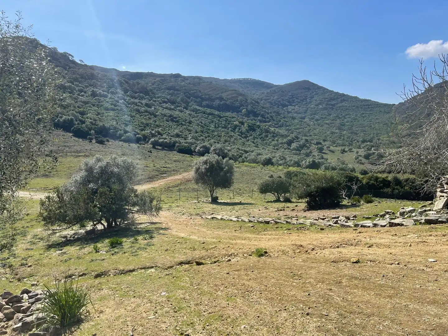 Residential zum Verkauf in Castellar de la Frontera
