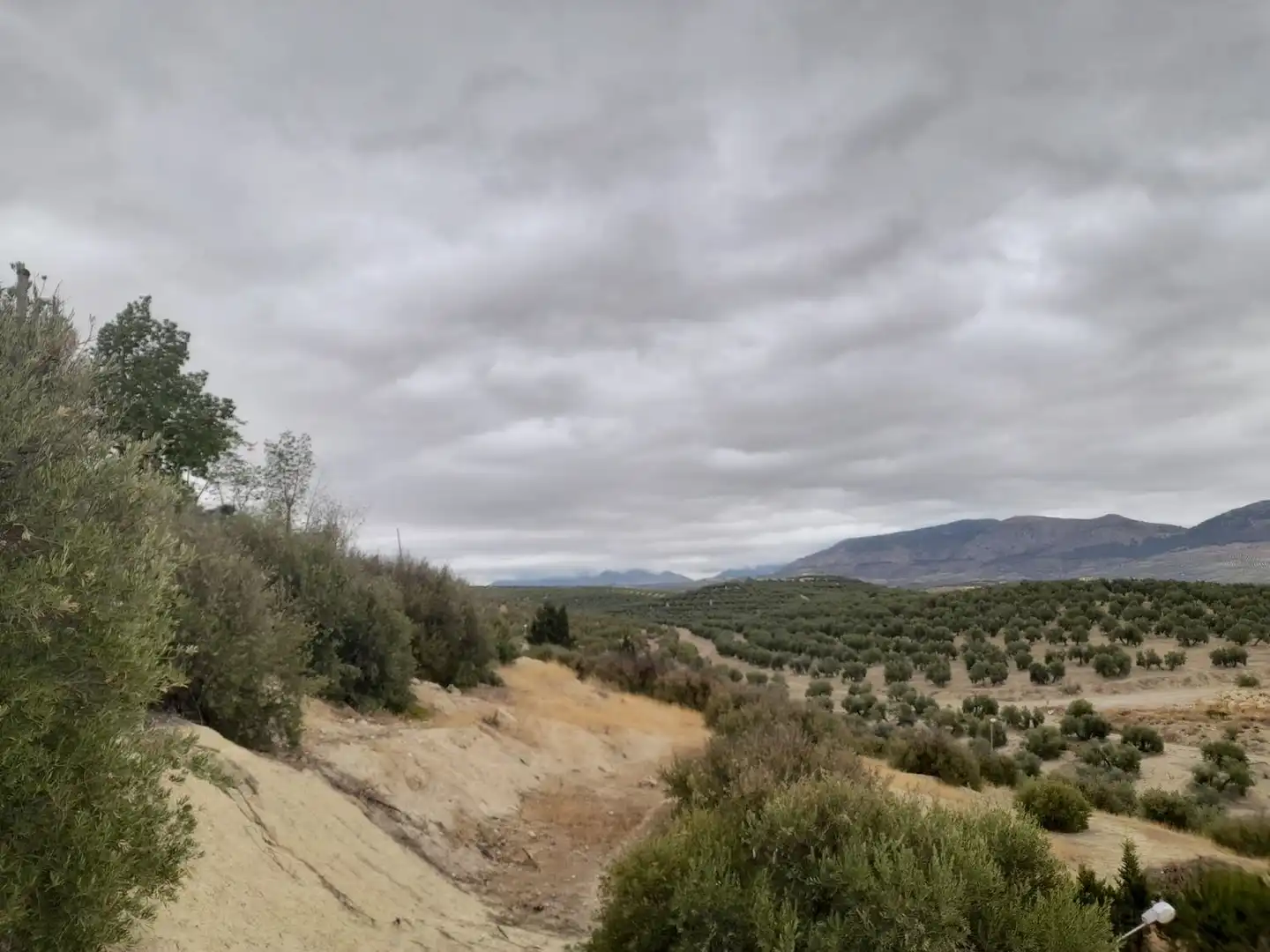 Terreni e lotti in vendita a Puente Tablas - Puente Nuevo - Cerro Molina, imagen 10