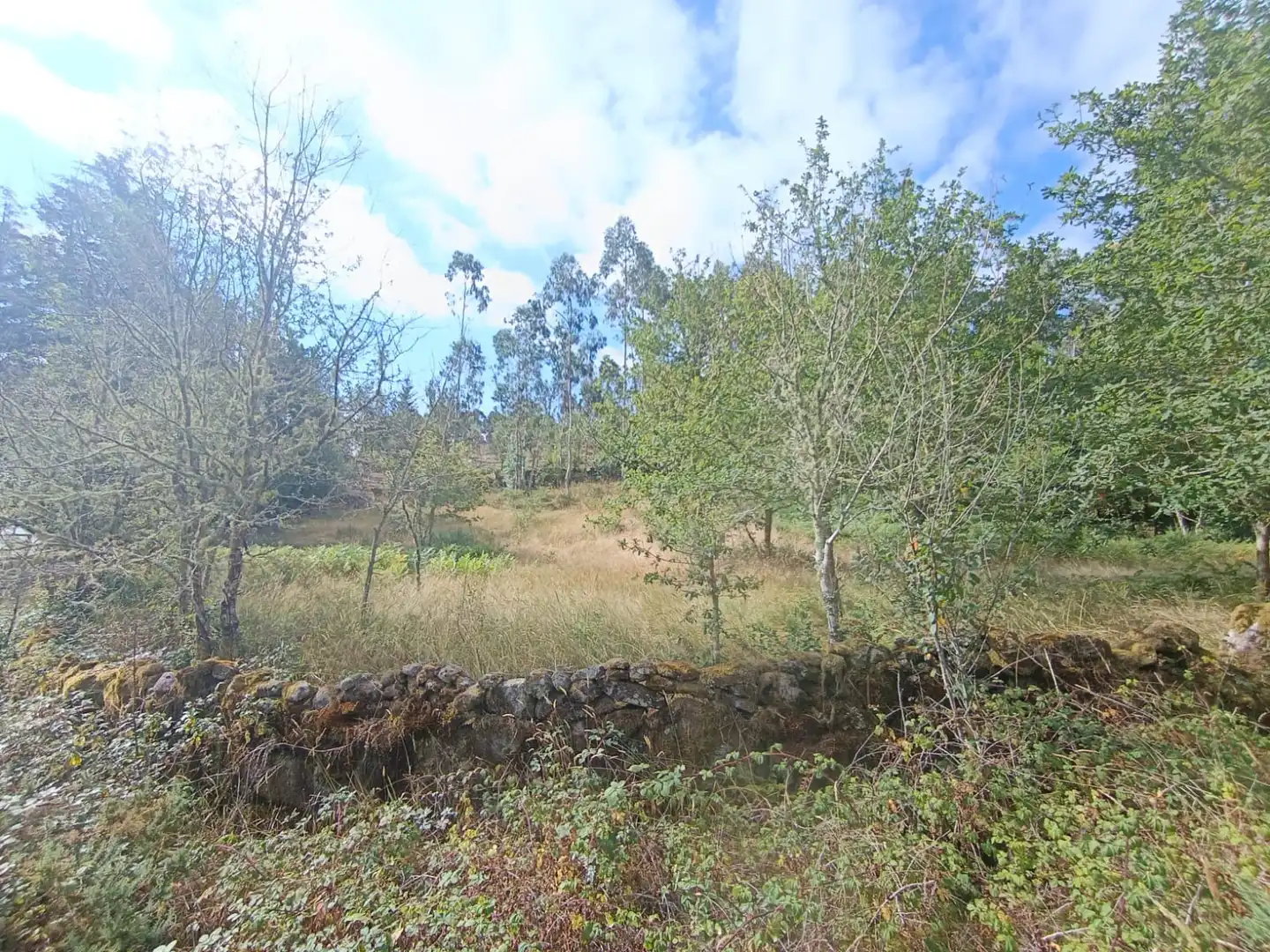 Residencial en venda en Cotobade