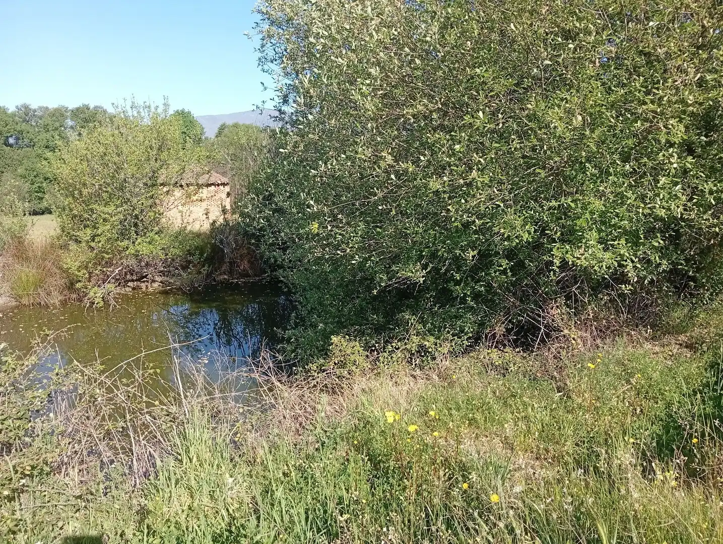 Terreni e lotti in vendita a Talaveruela de la Vera, imagen 10