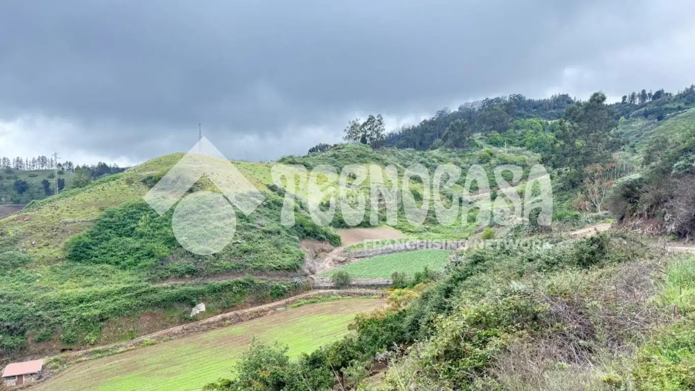Terreno en venta en Moya (Las Palmas)
