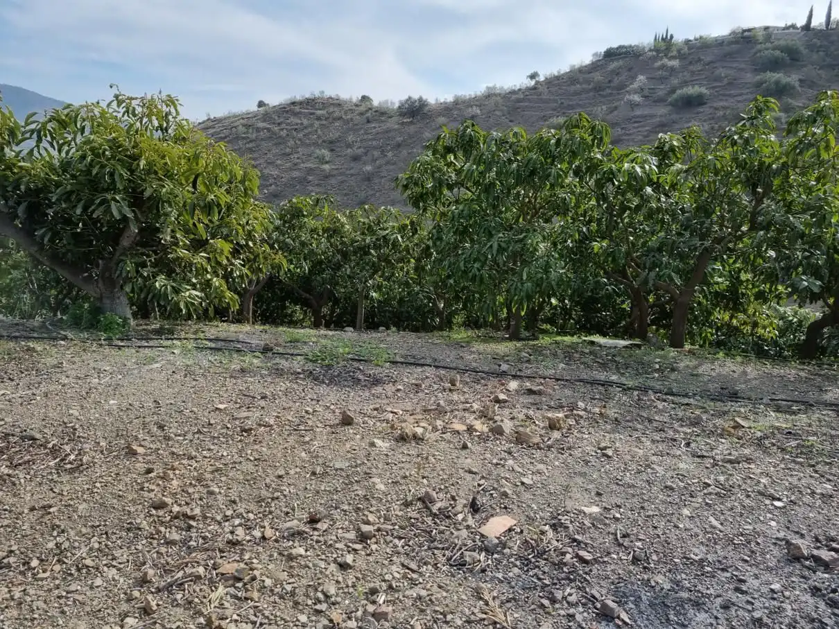 Casa rustica in vendita a Los Gómez., imagen 35