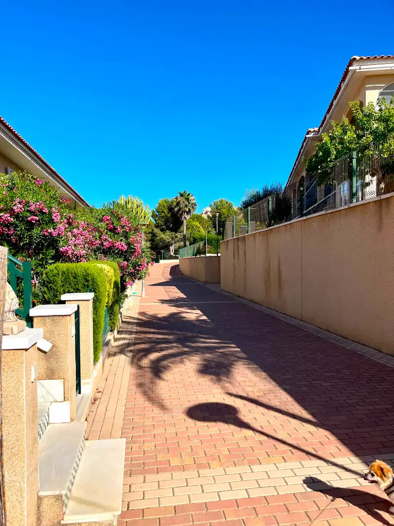 Exterior view of Detached homes for sale in Santa Pola  with Air Conditioner, Private garden and Furnished