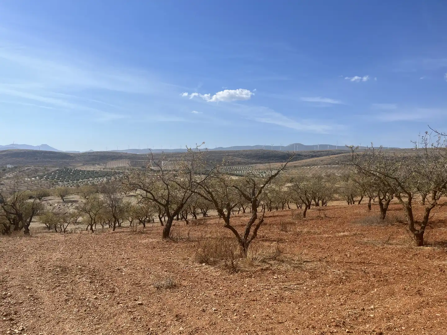 Rustikales Grundstück zum Verkauf in Avenida de Andalucía, imagen 15