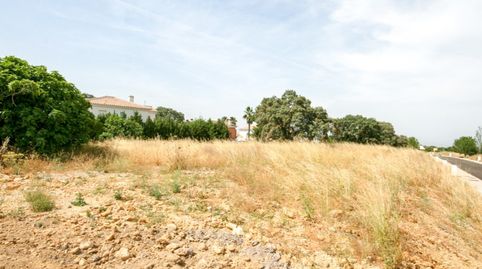 PARCELA EDIFICABLE EN URBANIZACION LOS MONTECILLOS, image 4