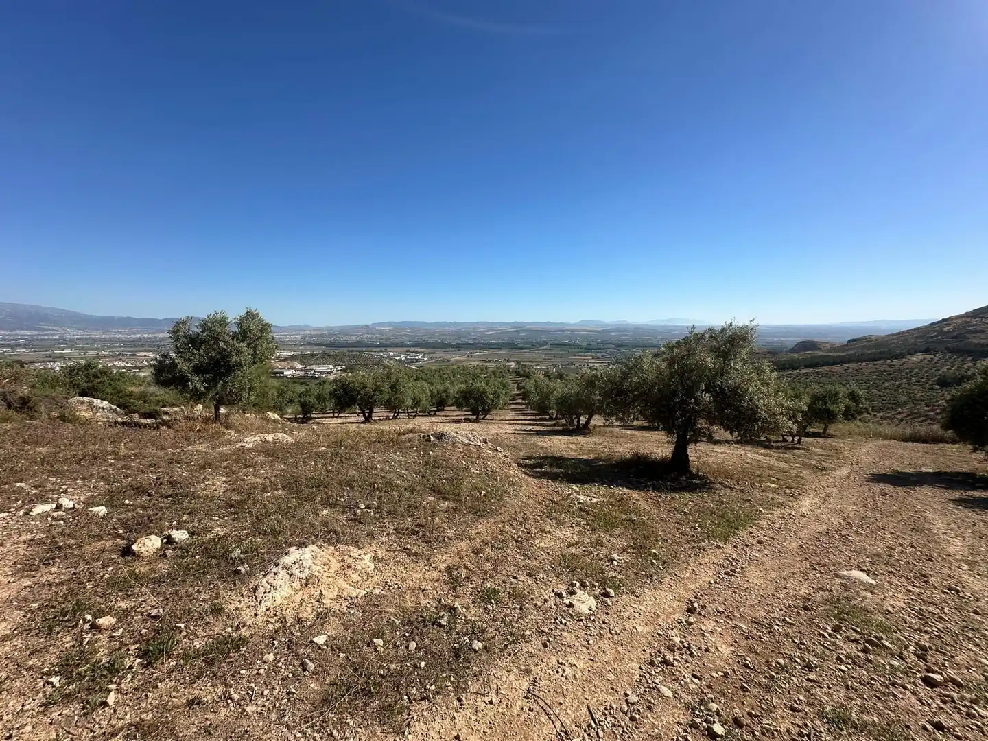 Terreni e lotti in vendita a Atarfe, imagen 6