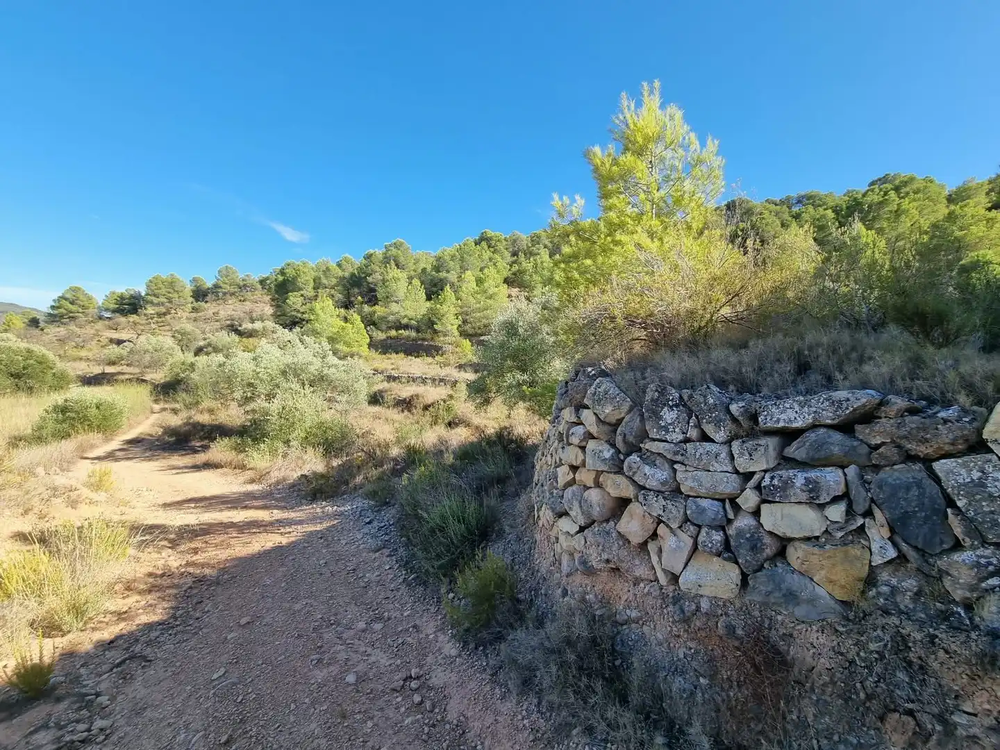 Lands and plots for sale in poligono 7 parcela 274, imagen 5