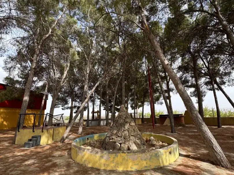 Jardí de Terreny industrial en venda en Huéscar