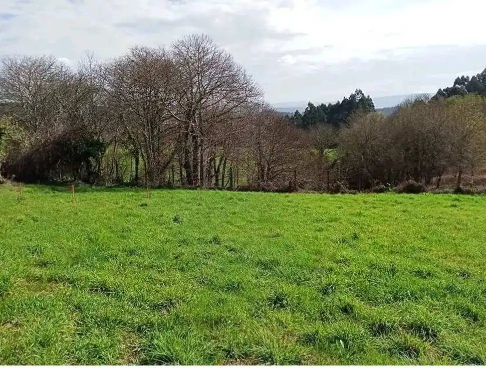 Terreni e lotti in vendita a Lugar Brión de Abaixo, imagen 3