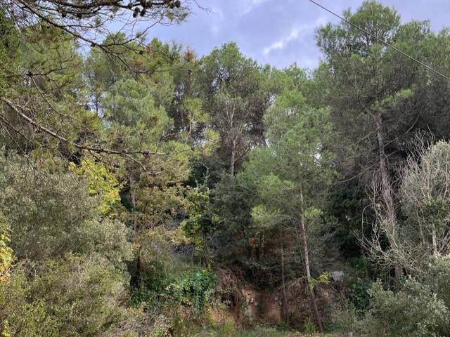 Terreno residencial en Venta en Carrer Bosc, 25 en Pontils