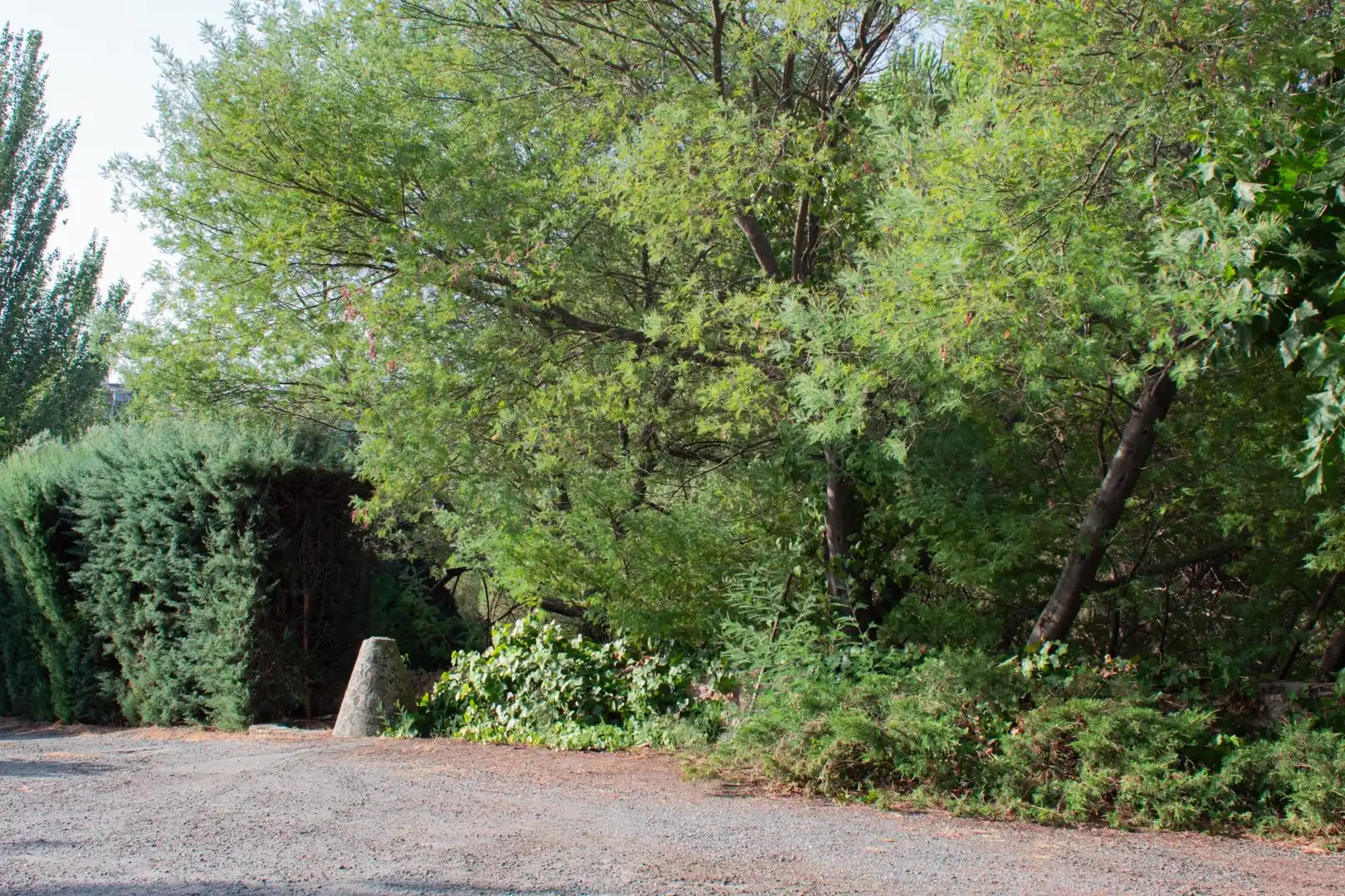 Finca rústica en venda en Plasencia amb Aire condicionat, Calefacció i Jardí privat