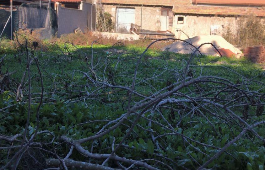 Foto 1 de Finca rústica en venda a Carril de la Romera, 81, Santo Angel, Murcia