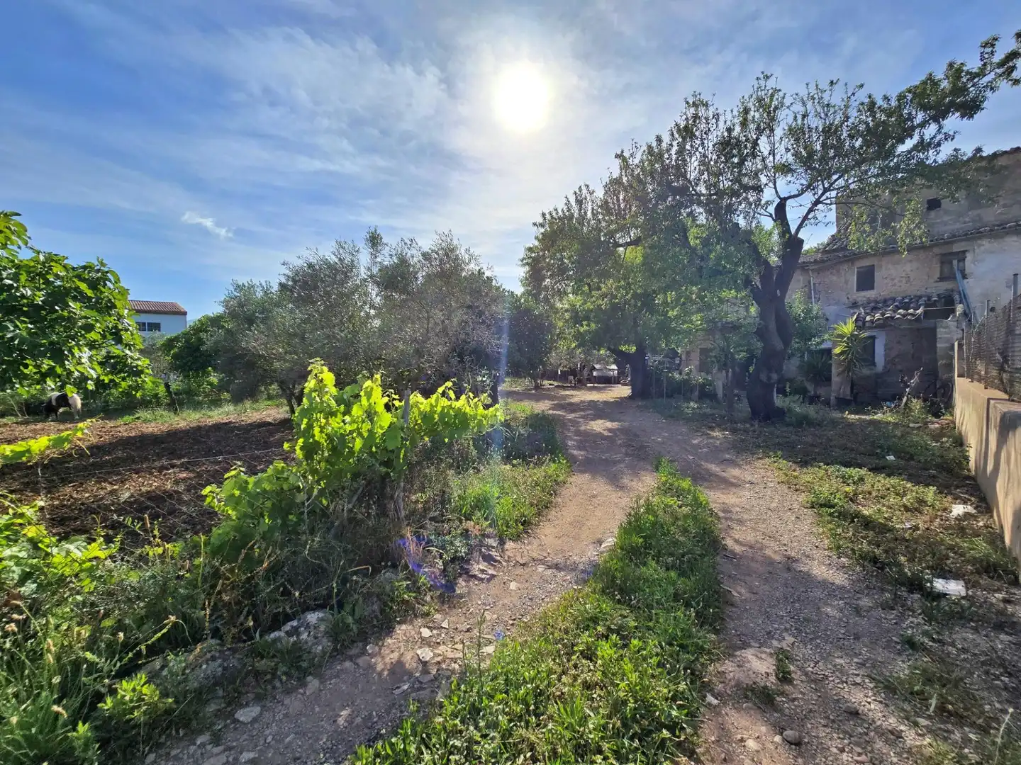 Casa rústica amb jardí en venda a Calle del Mar 56, imagen 19