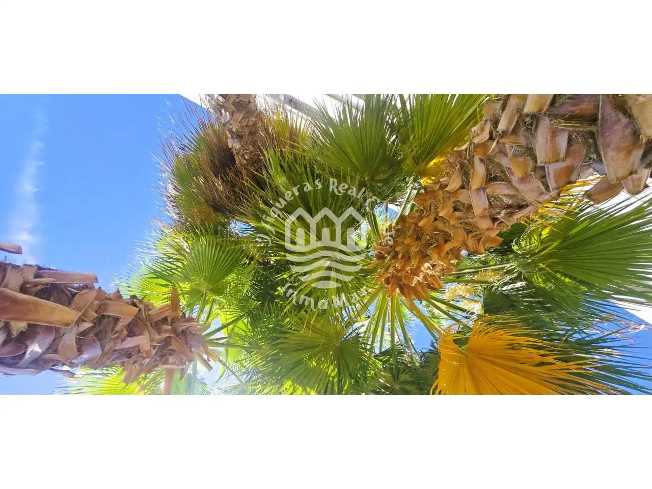 Jardí de Dúplex en venda en Terrassa amb Aire condicionat, Calefacció i Parquet