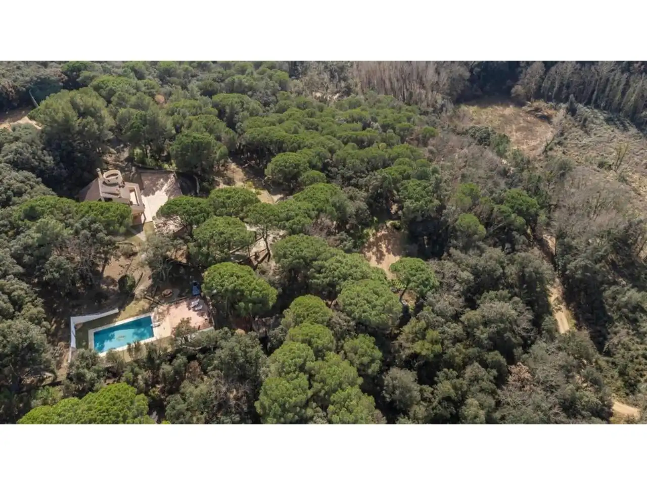 Jardí de Finca rústica en venda en Sant Feliu de Buixalleu amb Calefacció, Jardí privat i Terrassa