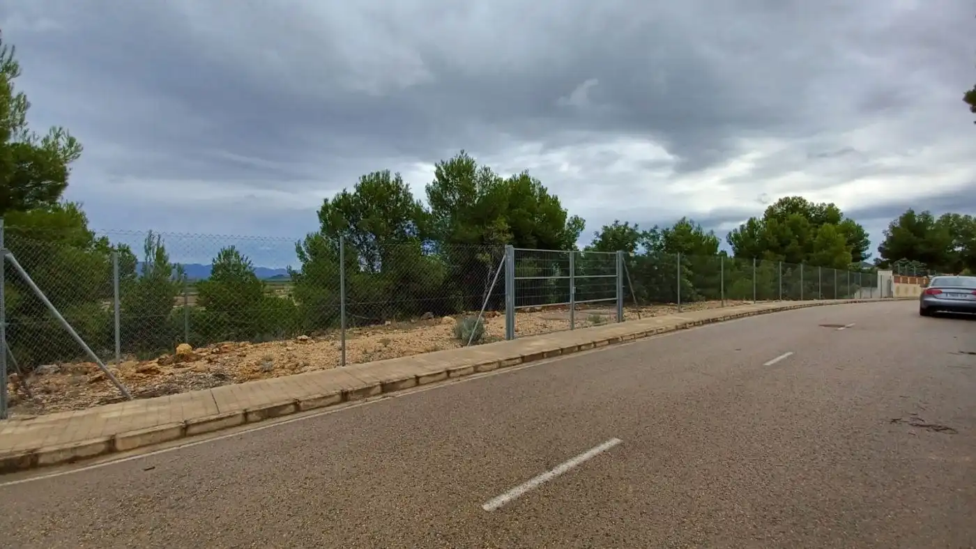 Terrenos y solares en venta en Casinos, imagen 10
